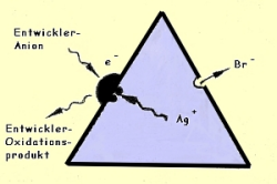 Teilprozesse der Entwicklung