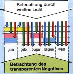 Beaobachtung des Bildes